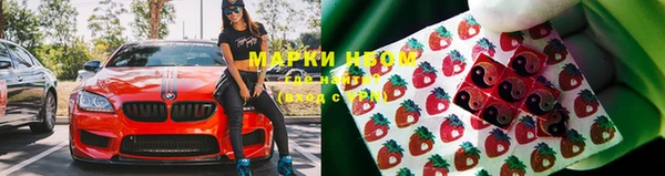 гашик Алексеевка
