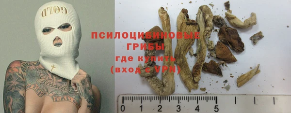 шишки Алексин