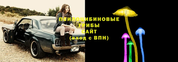 Альфа ПВП Алзамай