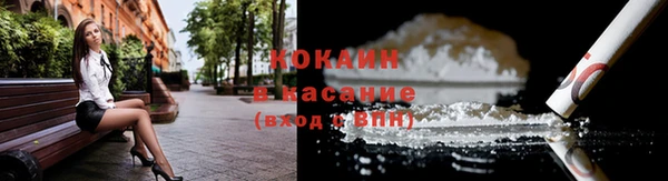гашик Алексеевка
