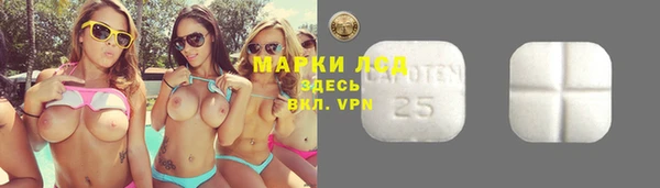 шишки Алексин