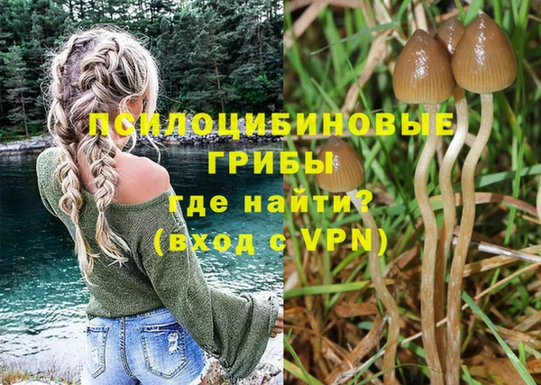 Альфа ПВП Алзамай