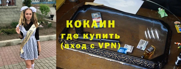 гашик Алексеевка