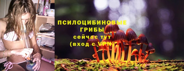 шишки Алексин