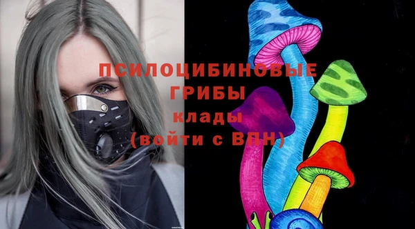 Альфа ПВП Алзамай
