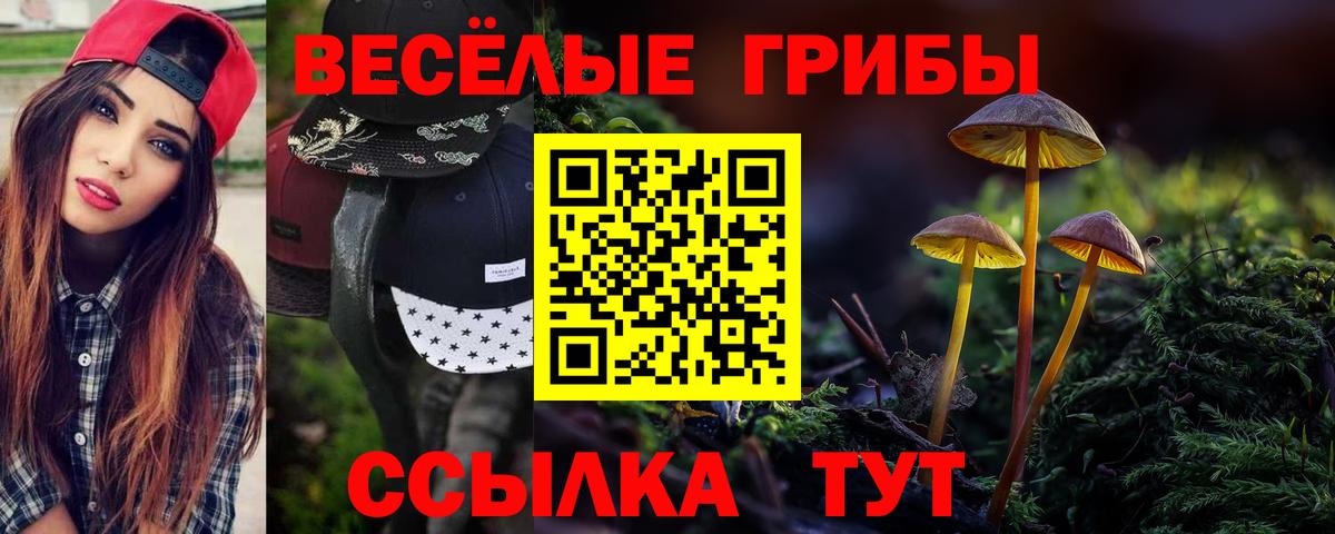 Псилоцибиновые грибы Cubensis Усть-Лабинск